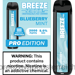 Blaubeerminze