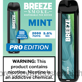 Breeze Pro 2000 Züge Minze J8VTX20 Breeze Vape Flavors