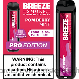 Pom-Beeren-Minze