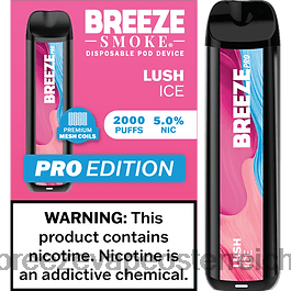 Breeze Pro 2000 Züge üppiges Eis J8VTX22 Breeze Vape Österreich